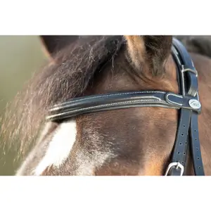 Riding bridles HFI Technical image-2