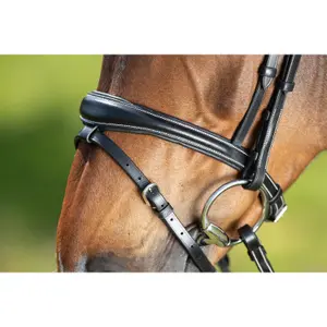 Riding bridles HFI Technical image-3