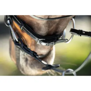 Riding bridles HFI Technical image-4