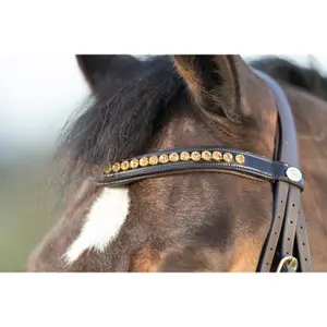 Riding bridles HFI Shiny image-2