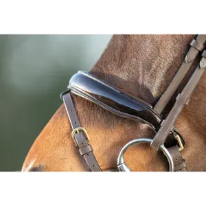 Riding bridles HFI Shiny image-3