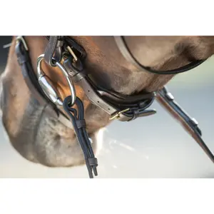 Riding bridles HFI Shiny image-4