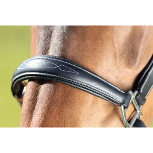 Leather halter for horse HFI Grooming image-1