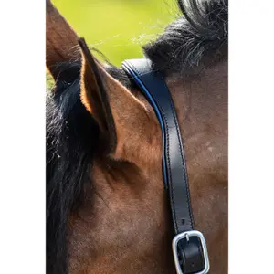 Lederen halster voor paarden HFI Two-Tone image-1