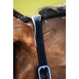 Cabezada de cuero para caballos HFI Two-Tone image-1