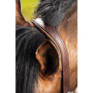 Lederen halster voor paarden HFI Two-Tone image-1