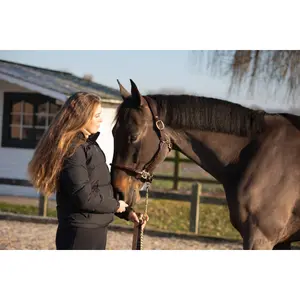 Licol pour cheval en cuir HFI Braided image-1