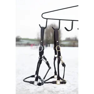 Licol pour cheval en cuir HFI Braided image-0