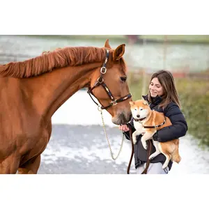 Leather halter for horses HFI Polo image-1