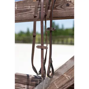 Canvas horse reins with leather buckles HFI image-0