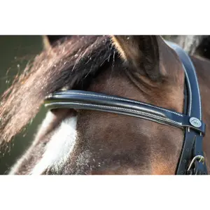 Riding bridles HFI Anatomic image-1