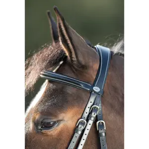 Riding bridles HFI Anatomic image-2