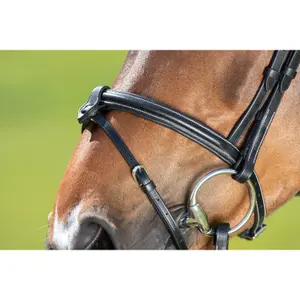 Riding bridles HFI Anatomic image-3