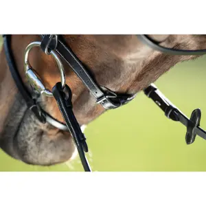 Riding bridles HFI Anatomic image-4