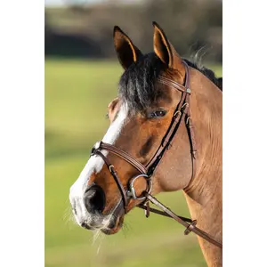Anatomical riding bridle HFI Anatomic image-0