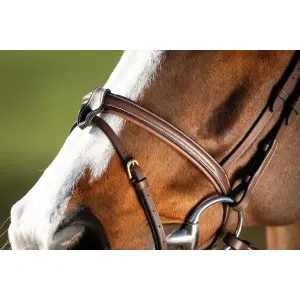 Anatomical riding bridle HFI Anatomic image-1