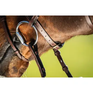 Anatomical riding bridle HFI Anatomic image-2