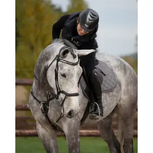 Pannband för häst HFI Padded Wave + Strass image-0