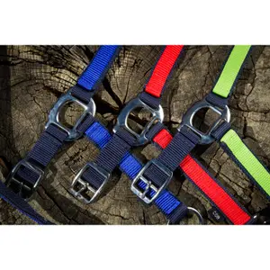 Halter for horse HFI image-1