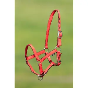 Cavezza in nylon morbido per cavalli HFI image-0