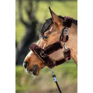 Fourreau pour licol mouton synthetique HFI Cosy image-0