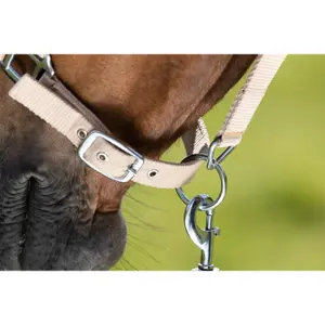 Halter for horse HFI First image-1