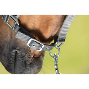 Halter for horse HFI First image-1