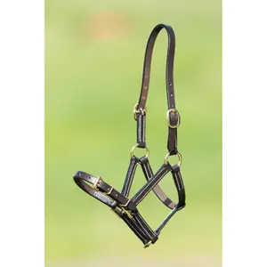 Fine leather halter for horse HFI image-0