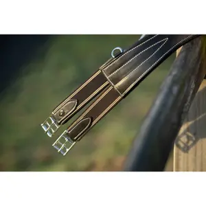 Anatomia da circunferência do cavalo + mosquetão HFI image-1