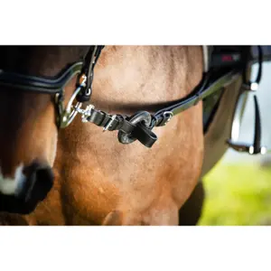 Horse Reins HFI Ring image-1