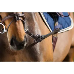 Horse Reins HFI Ring image-0