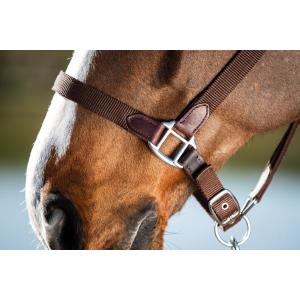 Halter and lead rope set for horse nylon HFI Néoprène Smart image-3