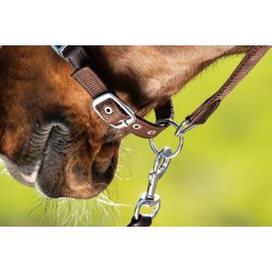 Halter and lead rope set for horse nylon HFI Néoprène Smart image-2