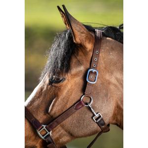 Halter and lead rope set for horse nylon HFI Néoprène Smart image-1
