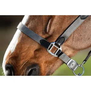 Halfter HFI Neoprene Smart image-1