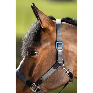 Halfter HFI Neoprene Smart image-3