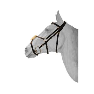 sam117brc-anatomical-mexican-double-breasted-snaffle-bridle-hfi-brown