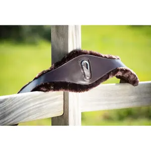 sam1252br-sattelgurt-hfi-braun