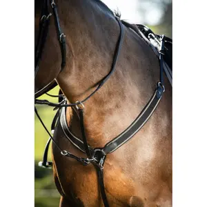 Elastic hunting collar for horse HFI image-0
