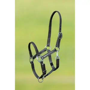 Soft leather halter for horse HFI image-0