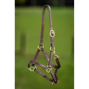 Soft leather halter for horse HFI image-0