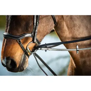 Horse Reins HFI image-0