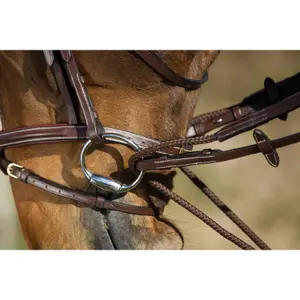 Riendas de equitación alemanas de cuero + cuerda HFI image-1