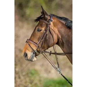 sam323br-gogue-fur-pferde-hfi-braun