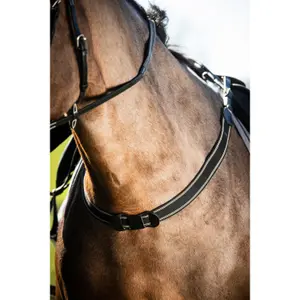 Semplice artigianato elastico per l'equitazione HFI image-0