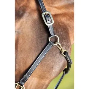 Licol en cuir pour cheval HFI image-1