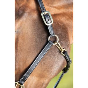 Cream stitched leather halter for horse HFI image-2
