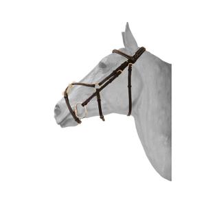sam584brc-briglia-snaffle-messicana-anatomica-a-doppio-petto-hfi-fancy-marrone-cob