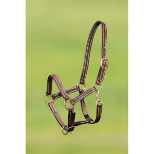 Lined leather halter for horse HFI image-0
