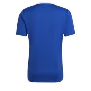 Maglia Adidas Entrada 22 image-4